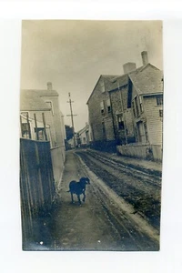 Nantucket MA 1910 RPPC Foto Postkarte, Hund, Gasse, Häuser, Feldweg - Bild 1 von 2