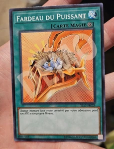 misprint burden of the mighty DEMO french yugioh ys17 error - Picture 1 of 1