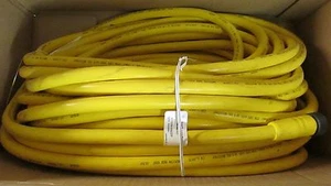Lumberg Automation RK 100M-699/30M 10 Pin Cable - Picture 1 of 3
