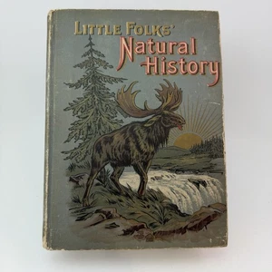 Little Folks’ Natural History Book Pictures And Stories 1902 Lyman A Martin - Picture 1 of 16