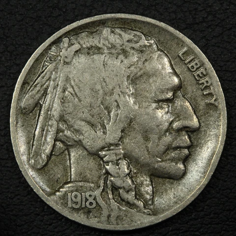 1918 D Buffalo Nickel Cover