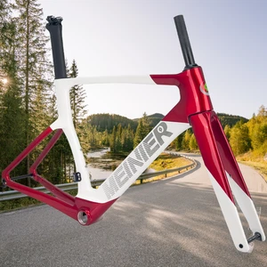 Carbon Fibre Road Racing Bike Frames and Forks Disc Brake T47 Screw in BSA Frame - Picture 1 of 36