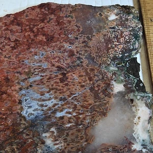 Moroccan agate slab, beautiful reds, banding. 5 3/4" x 6 1/2" x 1/4" 11.5OZ - Picture 1 of 23