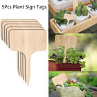 5Pc T-Shape Plant Label Plant Sign Tag Garden Marker For Bonsai Seed Potted Herb