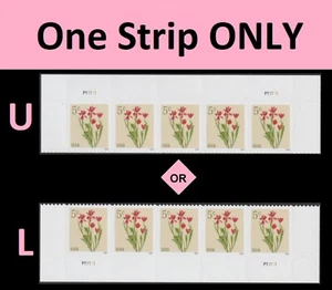US 5900 Flowers Red Tulips 5c plate strip 5 MNH 2024 - Picture 1 of 1