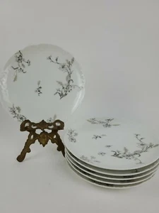 Haviland Limoges France 7,5" Dinner Plate wheat spikelet and cornflower Gray 6pc - Picture 1 of 7