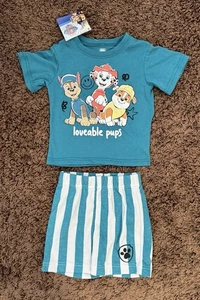 Paw Patrol Boys 2-Piece Shirt & Shorts Set 24 Months – Loveable Pups, Minor Flaw - Picture 1 of 14