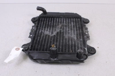 Kawasaki Ninja250 Ex 250 2005 enfriador de radiador Foto 1 de 4