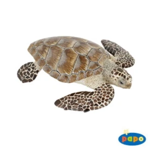 Tortuga Cacouanne - Papo (65005): vinilo animal de juguete en miniatura - Imagen 1 de 1