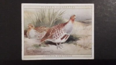 J. PLAYER. 1928.  NO 12.  GAME BIRDS AND WILD FOWL,  COMMON  PARTRIDGE. - Image 1 of 2