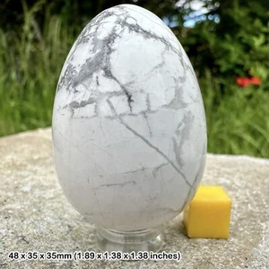Howlite Egg for Pain Relief - Spiritual Healing Crystal Mineral Stone - Picture 1 of 1