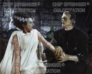 BORIS KARLOFF & ELSA LANCHESTER Bride of Frankestein #1 | Color by CHIP SPRINGER - Imagen 1 de 1