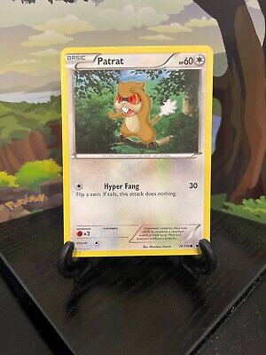 Patrat 78/114 - Black & White - Common - Pokemon Card TCG