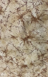 1 Yard Gold / Tan 44 “ Wide  100% Cotton - Picture 1 of 1