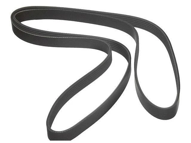 Cinturón multi costilla para Lexus IS300 2001-2005 2002 2003 2004 FN357NB Foto 1 de 1