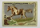2019 Topps Allen And Ginter Ms 7 Appaloosa Mares And Stallions Card Mc1