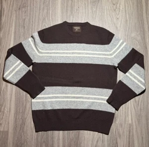 EXPRESS Lambs Wool Sweater Brown Striped Men's Size Large Crew Neck - Picture 1 of 4