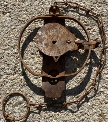 Vintage Oneida Victor #2 Jump Trap Underspring Skull Pan Cabin Decor Wall Hanger - Image 1 of 4