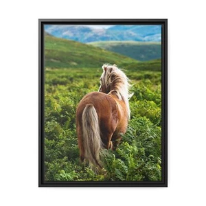 English countryside. Wild horse in a field of ferns. - Picture 1 of 7