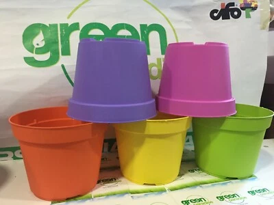 VASO COLORATO PLASTICA ARCA CM14 GIALLO VERDE LILLA ARANCIO FUCSIA