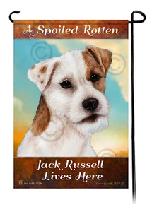 Ein verwöhnter fauler Doppelmantel hellbraun und weiß Jack Russell lebt hier - Bild 1 von 1