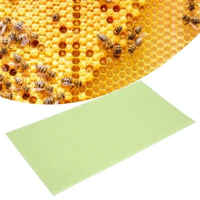 ⊹10Pcs Green Plastic Beekeeping Honey Sheet Beeswax Beehive Foundation - Image 1 of 4