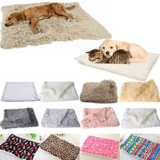 best dogs for small backyards