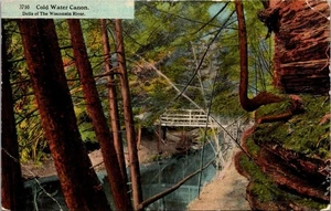 COLD WATER CANON Dells of the Wisconsin River BRIDGE c1913 Postcard - Picture 1 of 2