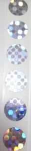 1000 SD .75" Round Protection Protection Tamper Proof Hologram Label Stickers - Picture 1 of 4