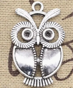 Owl Clip on Charm with Lobster Clasp - Picture 1 of 3