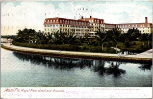 Postcard Miami Florida Royal Palm Hotel and Grounds Posted 1903 - Picture 1 of 2