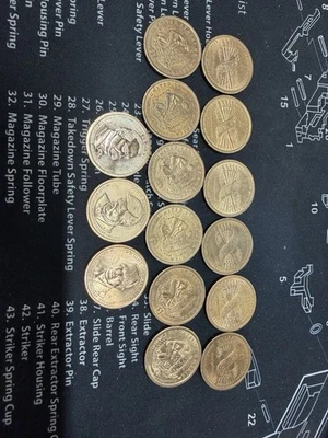 Presidential & American Indian United States Dollars NIFC 15 Coins. - Image 1 of 4