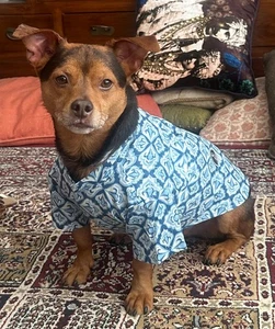 ¡NUEVO SIN ETIQUETAS! Camisa Kurta para Perros Petsnugs Transpirable Algodón Azul Floral. Tamaño: Pequeño - Imagen 1 de 7