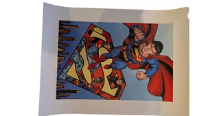 SUPERMAN THE SOARING EAGLE LITHOGRAPH SIGNED BY BRETT BREEDING & DAN JURGENS DC - Picture 1 of 2
