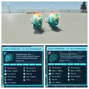 PYROMANE CIAN ID05 NUEVO TOP CUERPO A CUERPO 1.598%, PAR BABY ARK ASCENDED PVE PC/XBOX/PS5 - Imagen 1 de 4
