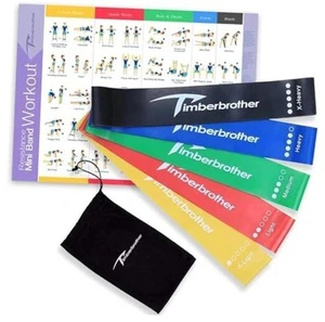Resistance Loop Bands with Workout Poster 16.5”x 22.4”,Set of 5 Exercise Bands - Picture 1 of 8