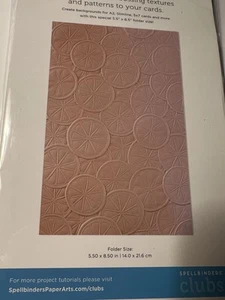 Spellbindersclub Jun 24 3D Summertime Citrus Twist Embossing Folder - Bild 1 von 2