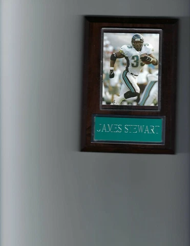 JAMES STEWART PLAQUE JACKSONVILLE JAGUARS FOOTBALL NFL Cover