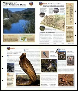 Wildlife Of Asir National Park #78 World - Wildlife Explorer Fold-Out Card - Picture 1 of 1