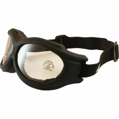 Birdz Eyewear - The Buzzard - Motorcycle Goggle Fits Over Glasses Clear Lens