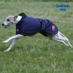 Ginger Ted Lightweight Waterproof Greyhound Whippet Hound Coat optional harness - Picture 1 of 6