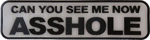 Can You See me Now A Hole Reflective Back Patch - Bild 1 von 4