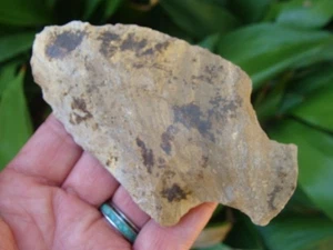 Monster 4 1/2" Georgia Florida Arrowhead ~108~ - Picture 1 of 3