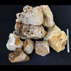 INDONESIAN PETRIFIED CORAL-Agatized (price per pound)