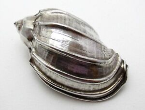 Beautiful Italian Federico Buccellati Pure Silver 999 Coated Conch Shell