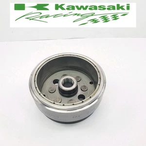 Kawasaki KLX300R KLX 300 2000 97-07 estator rotor magnético volante encendido OEM - Imagen 1 de 9