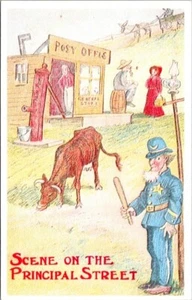 Postal de colección de policía de correo en Principle Street 18327 - Imagen 1 de 2