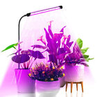 LED Grow Light Auto On/Off Timing 3/9/12H for Seedings Succulents Small Plants