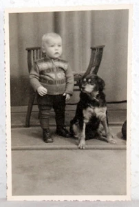 Foto - KLEINER JUNGE mit Hund - Bild 1 von 1