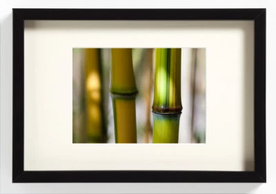 WAKATAKE junge Bambus in Blockprofil-Holzrahmen Japan Wanddeko 40x 30  - Bild 1 von 3